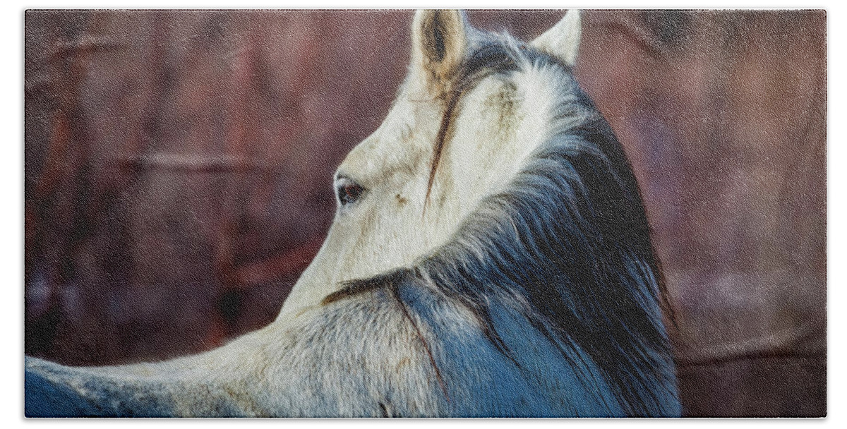 Wild Bath Towel featuring the photograph Wild Horse No. 3 by Craig J Satterlee