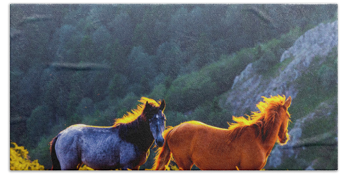 Balkan Mountains Hand Towel featuring the photograph Wild Horses by Evgeni Dinev