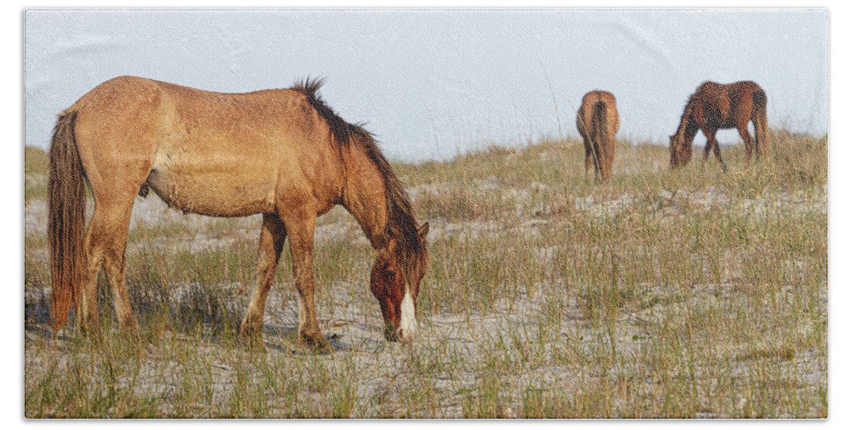 Wild Horses Bath Towel featuring the photograph Wild Horses of the Southern Outer Banks of North Carolina by Bob Decker