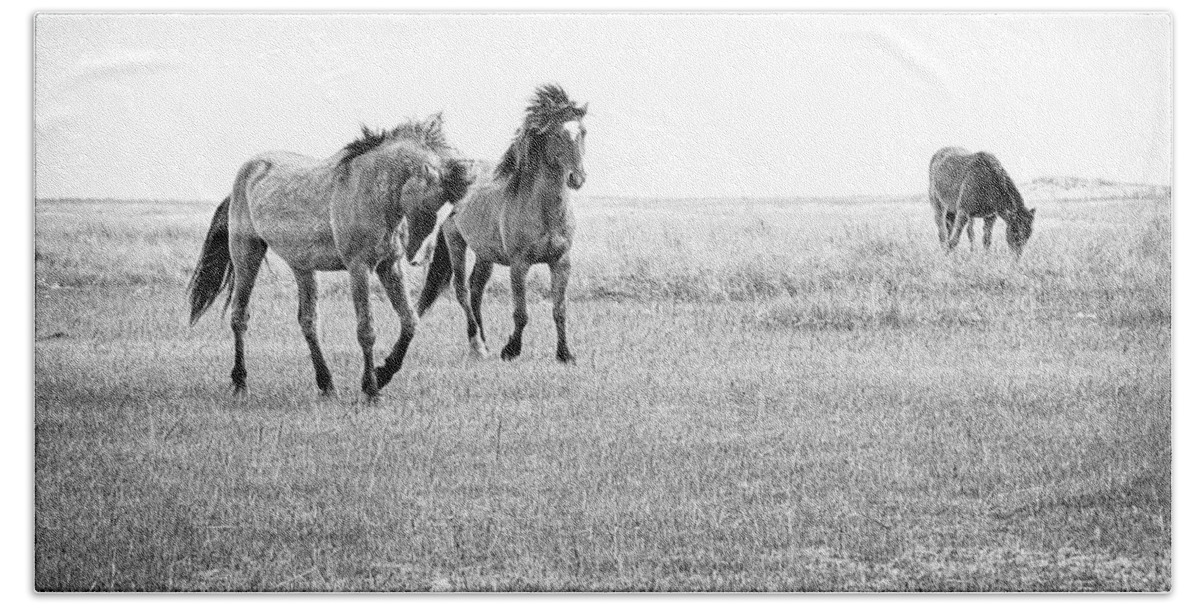 Wild Horse Hand Towel featuring the photograph Wild Horses on North Carolina Tidal Flats Near Beaufort by Bob Decker