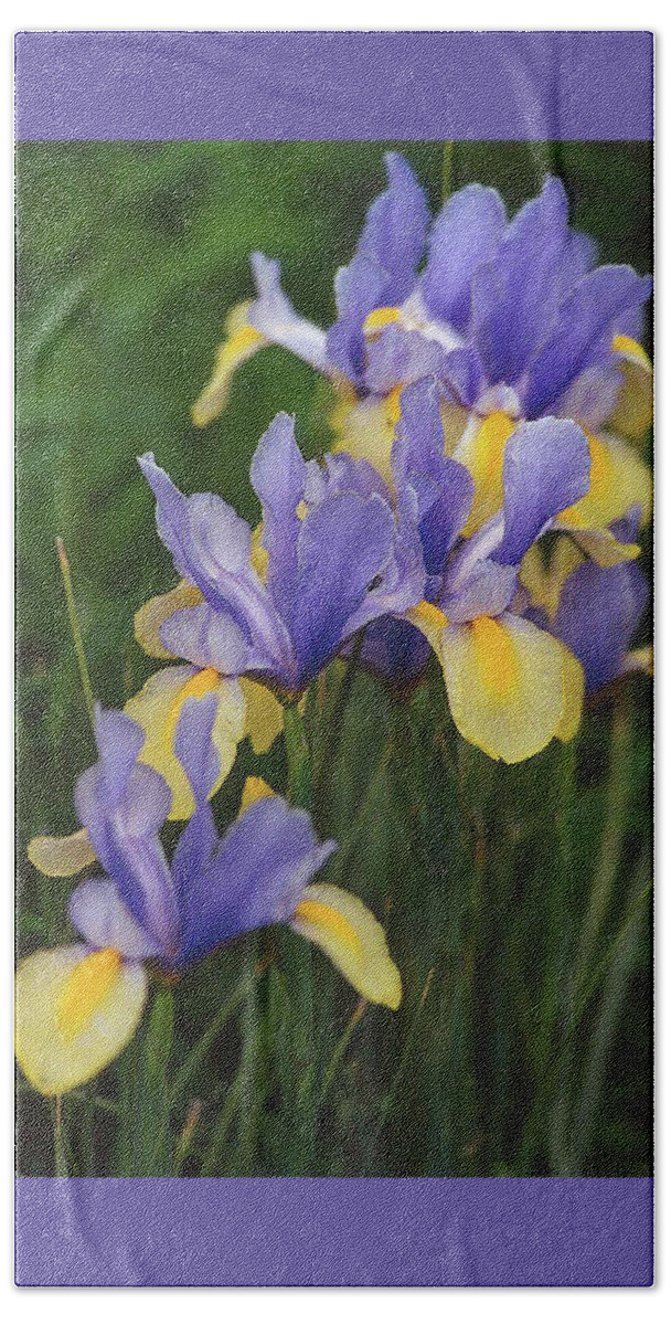 Flowers Bath Towel featuring the photograph Wild Iris by Bonnie Colgan
