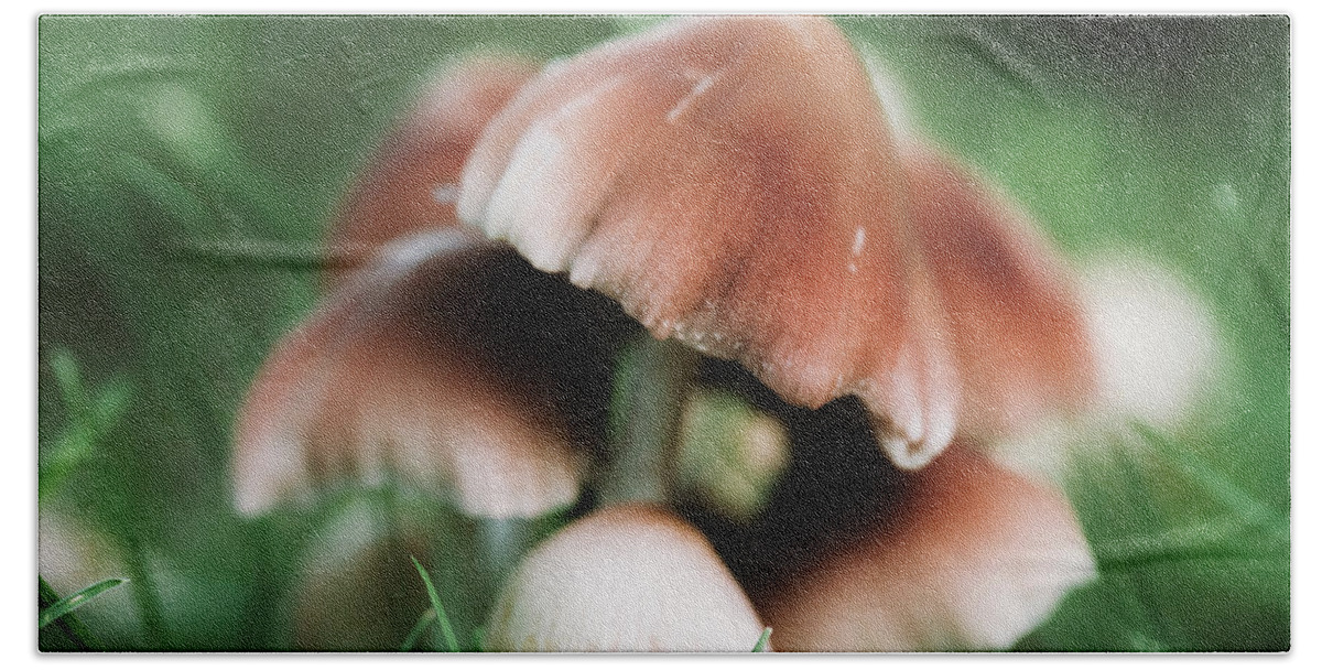 Plants Hand Towel featuring the photograph Wild Mushrooms - Nature Photography by Amelia Pearn