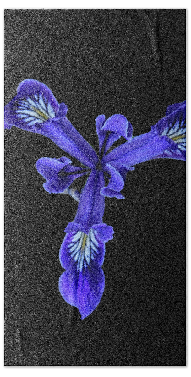Flower Bath Towel featuring the photograph Wild Purple Iris by Carl Moore