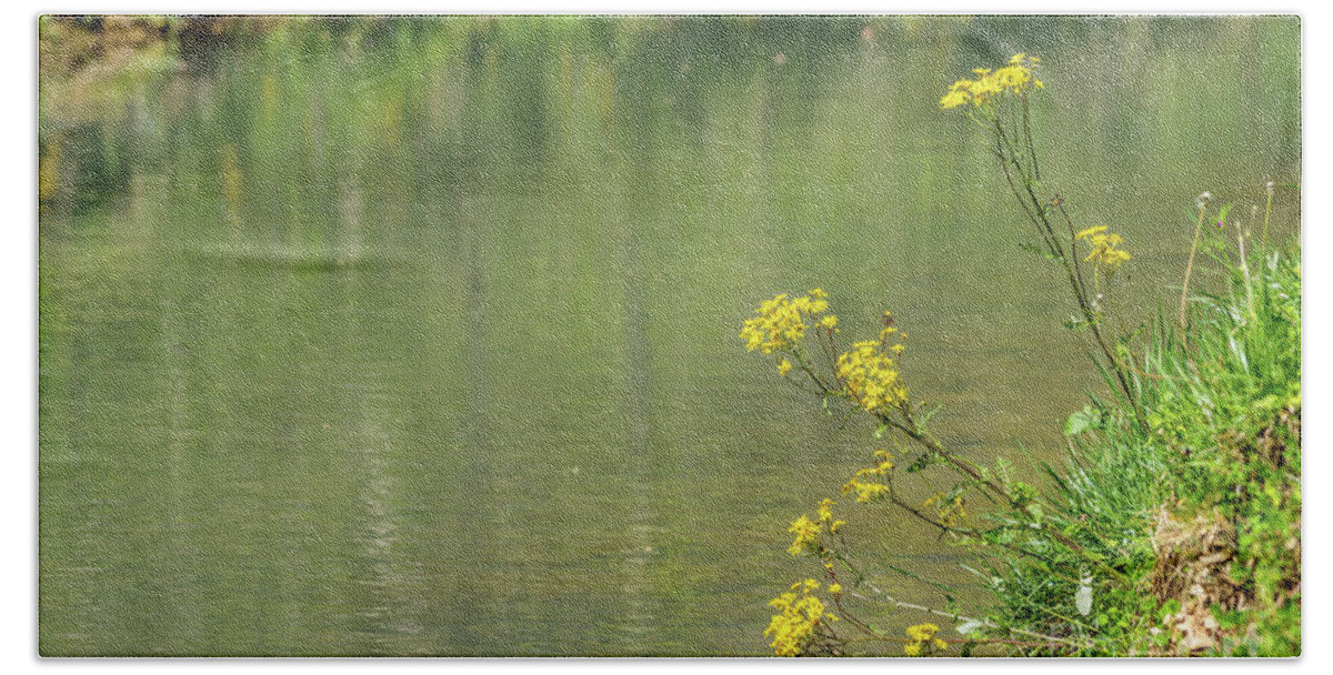 Wildflowers Bath Towel featuring the photograph Wild Yellow Daisies Along The Creek by Jennifer White