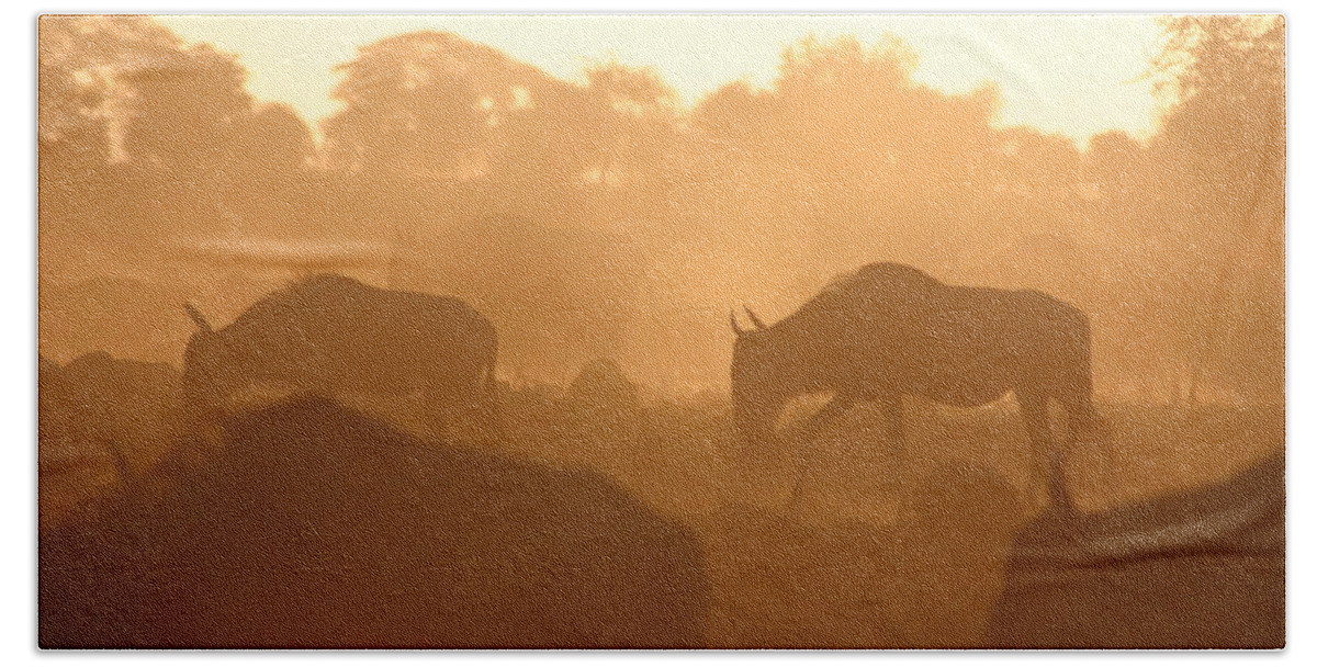 Wildebeest Bath Towel featuring the photograph Wildebeest Moving by Gene Taylor