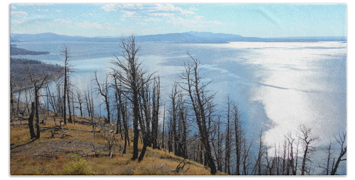 Lake Yellowstone Bath Towel featuring the photograph Wildfire Devastation by Robert Carter
