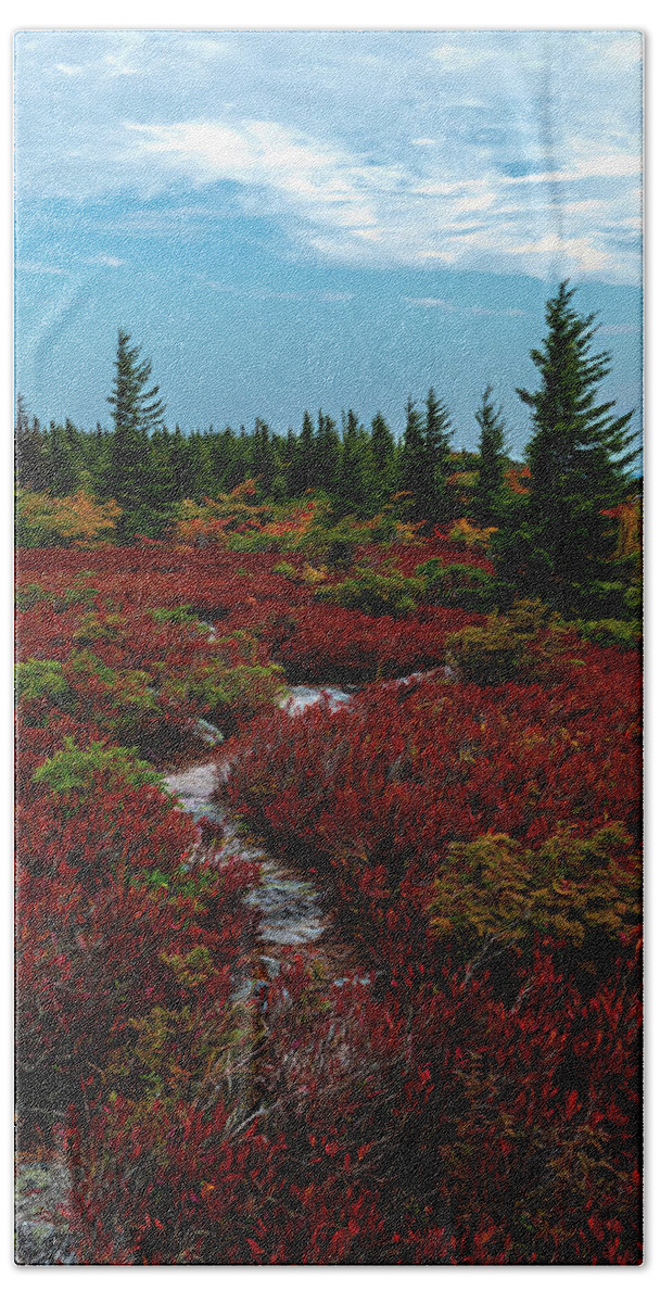 Dolly Sods Wilderness Hand Towel featuring the photograph Winding into Dolly Sods Wilderness by Jaki Miller