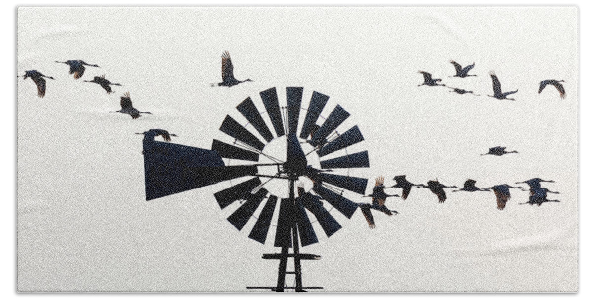 Sandhill Cranes Bath Towel featuring the photograph Windmills and Sandhill Cranes by Susan Rissi Tregoning