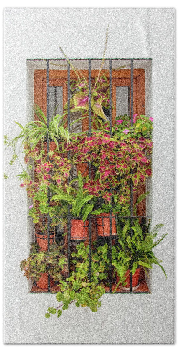 Spain Bath Towel featuring the digital art Window plants painted photo by Naomi Maya