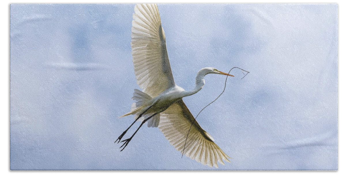 Great Egret Hand Towel featuring the photograph Wingspan by Rose Guinther