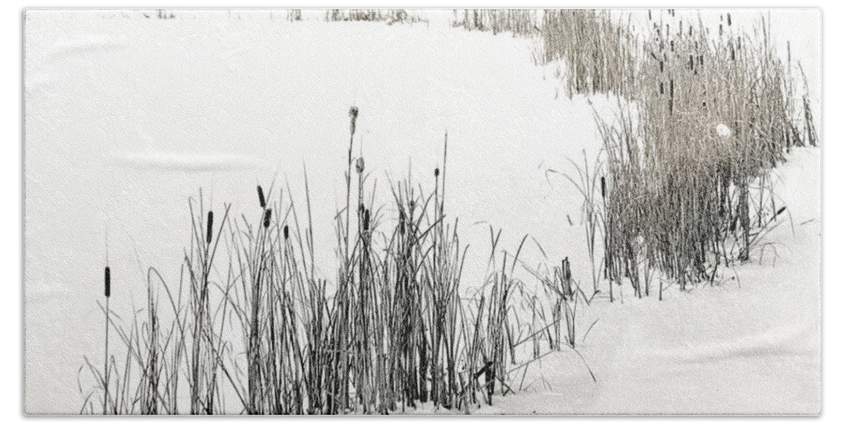 Snow Hand Towel featuring the photograph Winter Cattails by Jerry Griffin