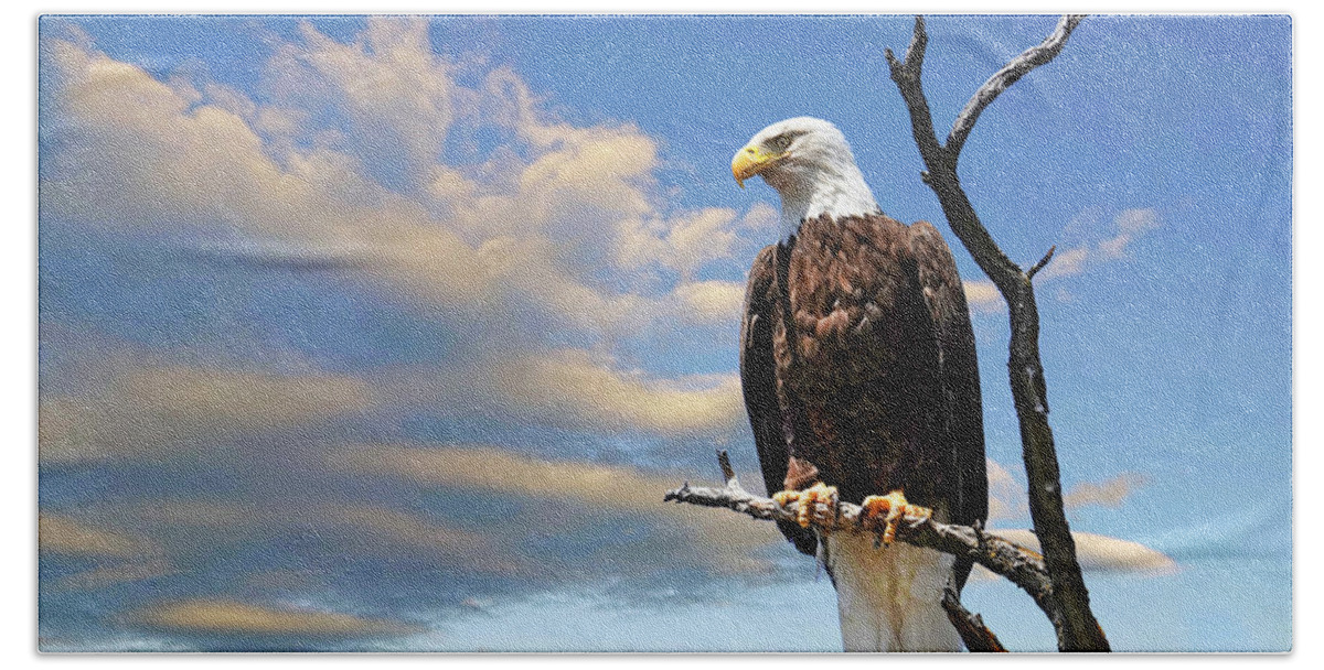 Bald Hand Towel featuring the photograph Winter clouds and Bald Eagle by Buddy Mays