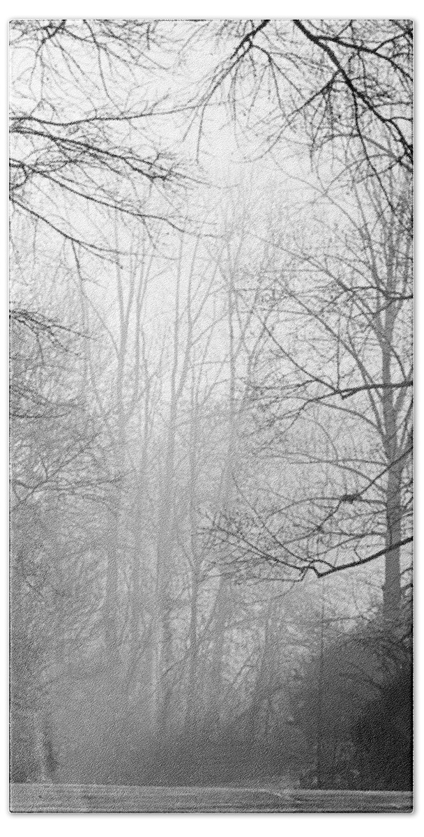Trees Bath Towel featuring the photograph Winter Dawn by Greg Joens