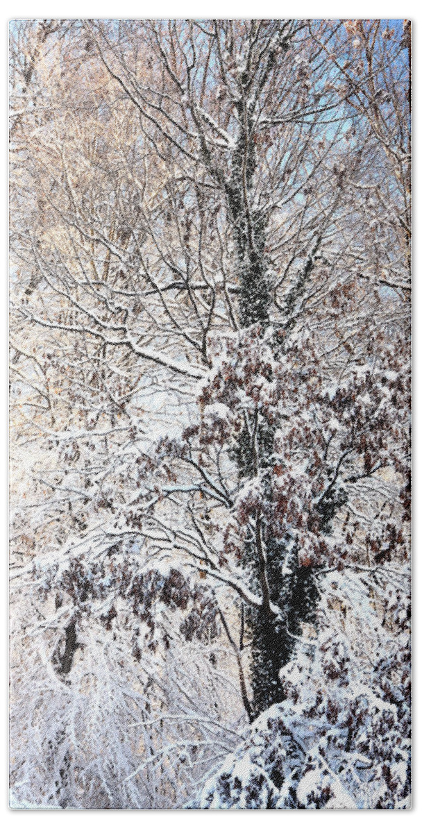 Snow Hand Towel featuring the photograph Winter Dreams No. 3 by Steve Ember