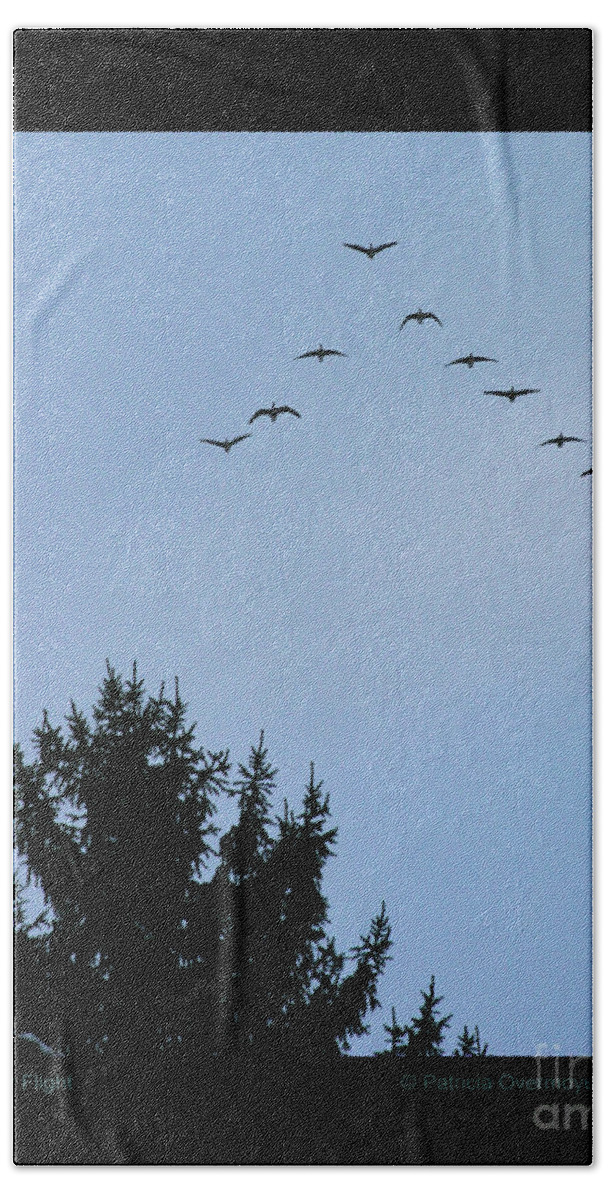 Geese Bath Towel featuring the photograph Winter Flight by Patricia Overmoyer