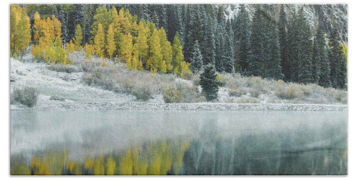 Winter Bath Towel featuring the photograph Winter Fresh Fall by Wesley Aston