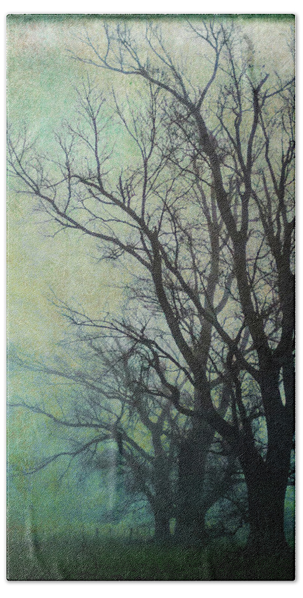 Tree Bath Towel featuring the photograph Winter Gloom by Roseanne Jones