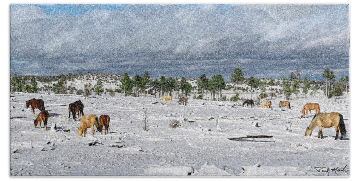 Stallion Hand Towel featuring the photograph Winter Grazing by Paul Martin