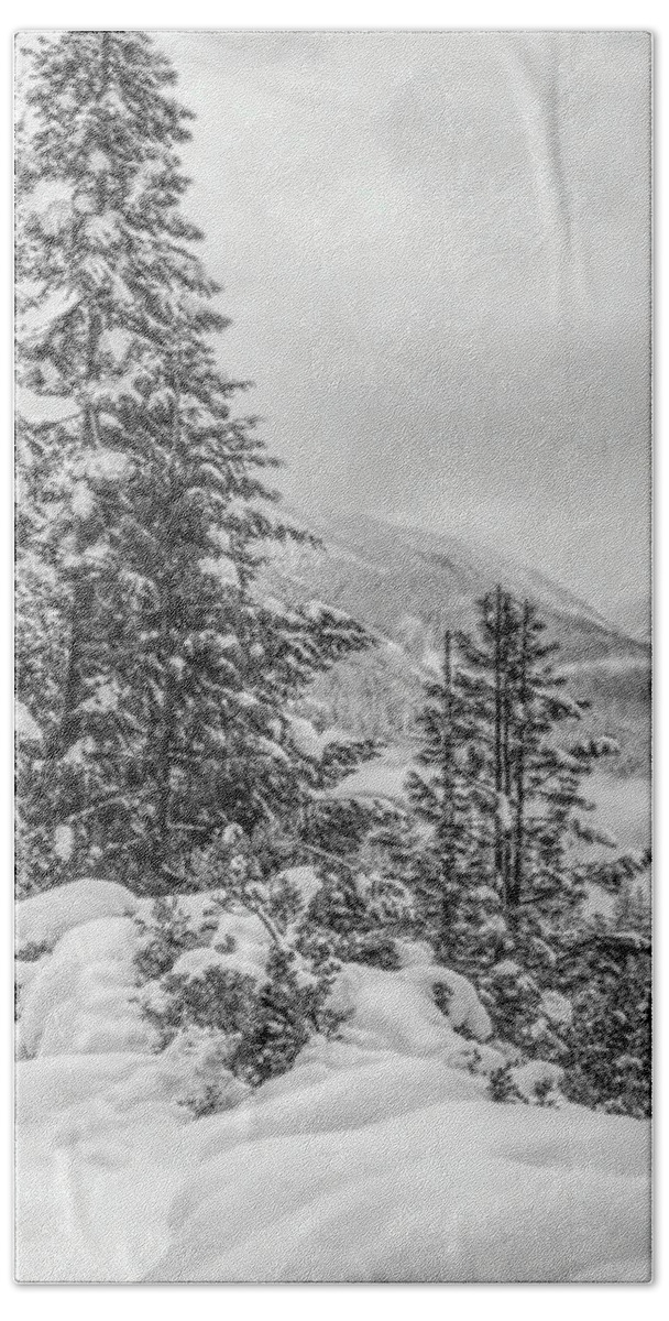  Great Smoky Mountains Hand Towel featuring the photograph Winter in the Smokies by Susan Hope Finley