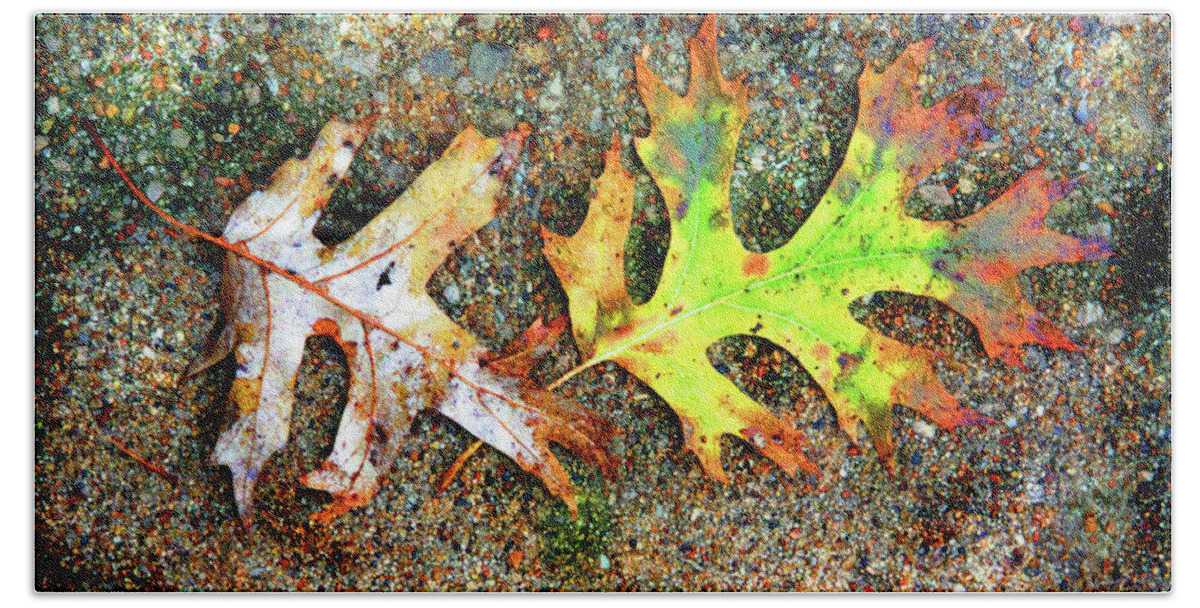 Autumn Leaves Bath Towel featuring the photograph Winter Leaves by John Lautermilch