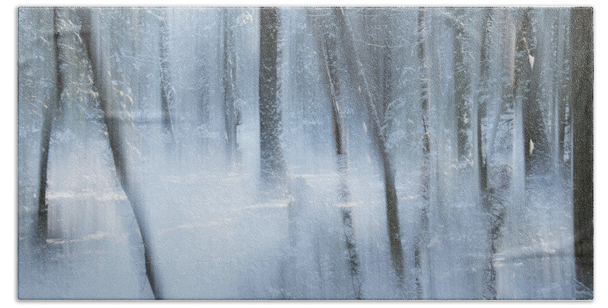 Woodland Magic Hand Towel featuring the photograph Winter Magic II by Lili Feinstein