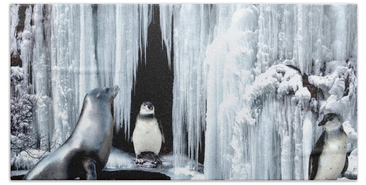 Penguins Bath Towel featuring the photograph Winter Playground by Pennie McCracken