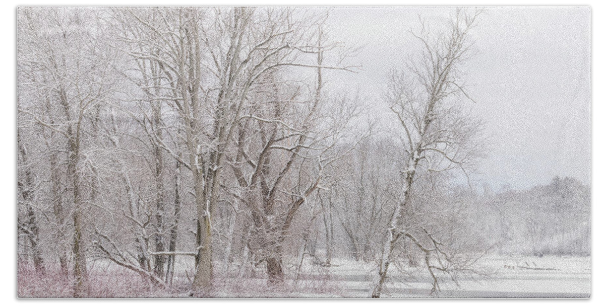 Trees Bath Towel featuring the photograph Winter by Rod Best