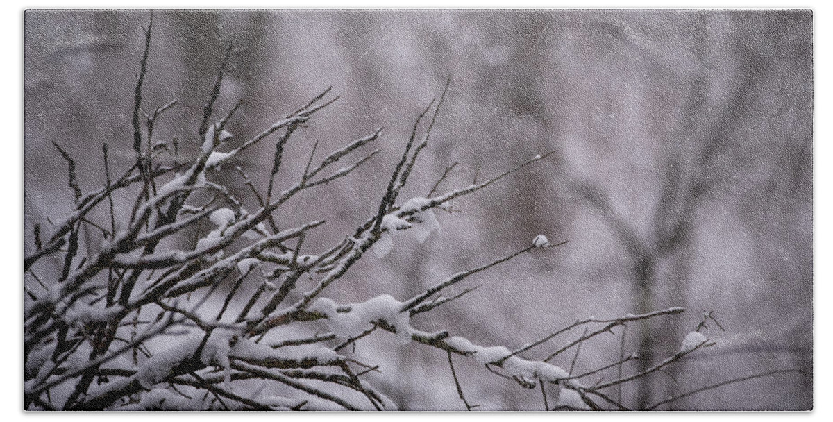 Photo Bath Towel featuring the photograph Winter Through the Branches by Evan Foster