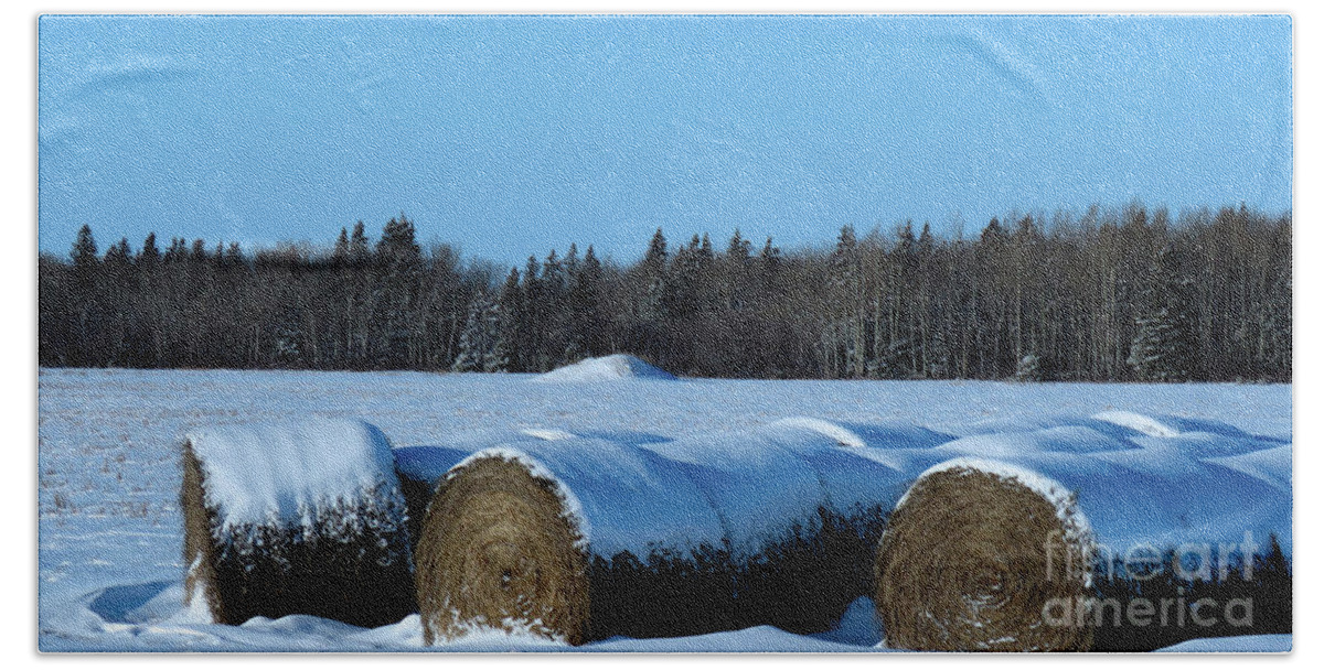 Canada Bath Towel featuring the photograph Winter's Coming by Mary Mikawoz