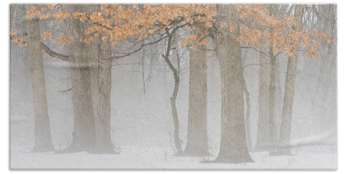 Winter Bath Towel featuring the photograph Winter's End by Forest Floor Photography