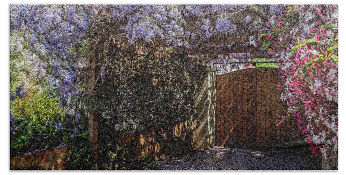 Wisteria Bath Towel featuring the photograph Wisteria by Vicki Walsh