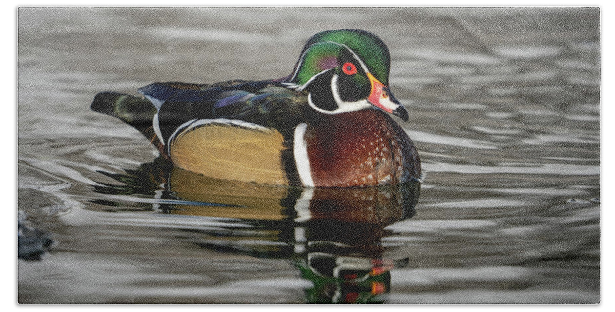 Wood Duck Bath Towel featuring the photograph Wood Duck on Pond by Wesley Aston