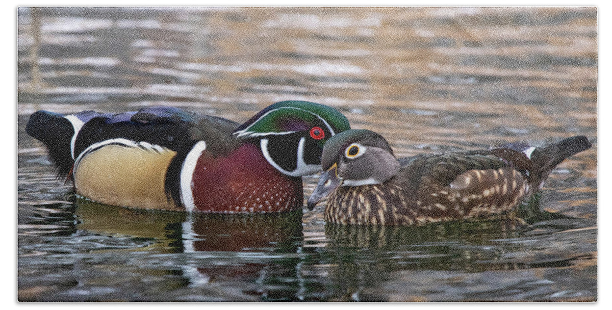 Wood Ducks Bath Towel featuring the photograph Wood Duck Pair by Wesley Aston