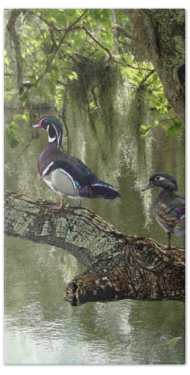 Ducks Bath Towel featuring the digital art Wood Ducks of Florida by M Spadecaller