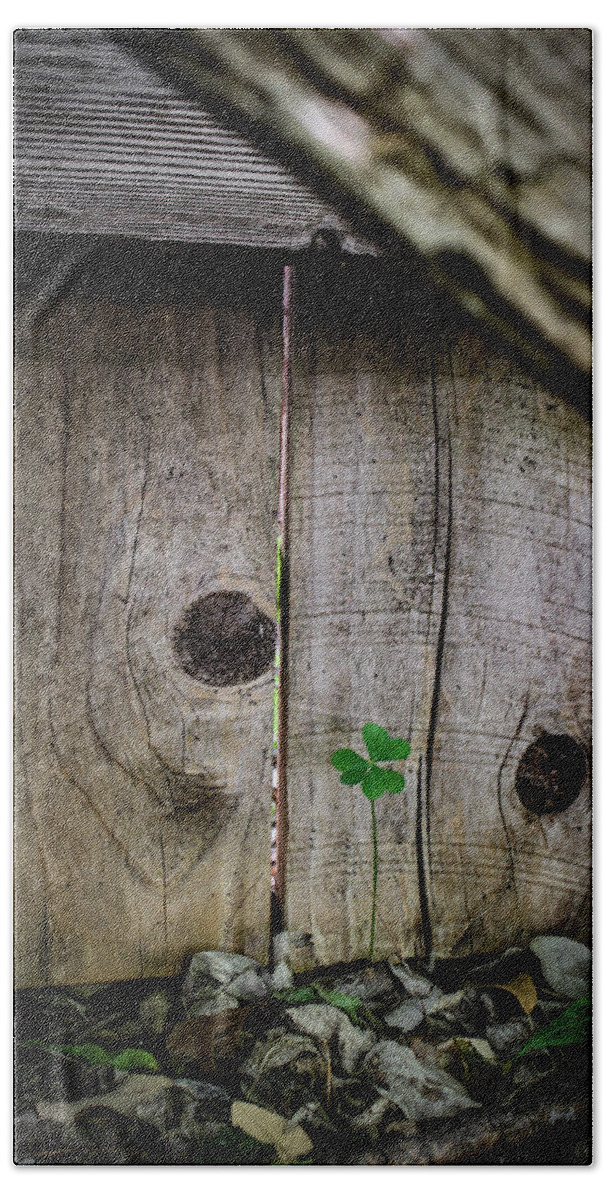 Oxalis Bath Towel featuring the photograph Wood Sorrel Against the Fence by W Craig Photography