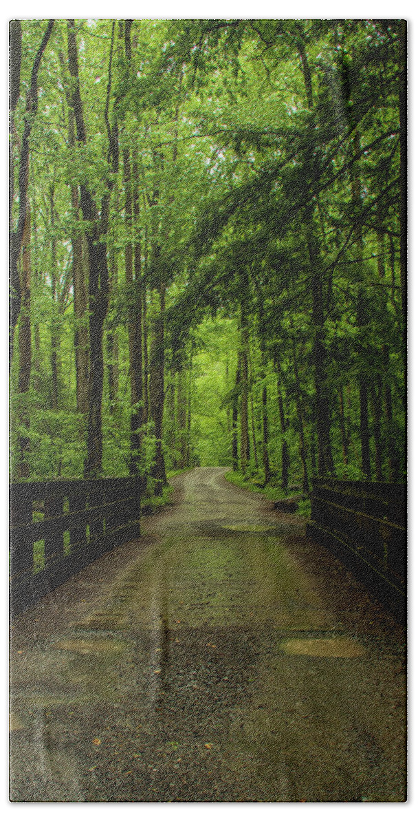 Great Smoky Mountains National Park Bath Towel featuring the photograph Wooded Path by Melissa Southern