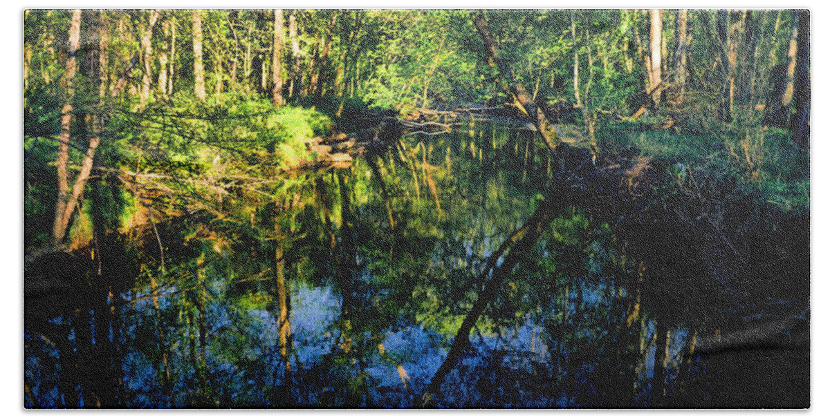 Tranquil Hand Towel featuring the photograph Woodland Calm No.18 - Accotink Stream Reflections by Steve Ember