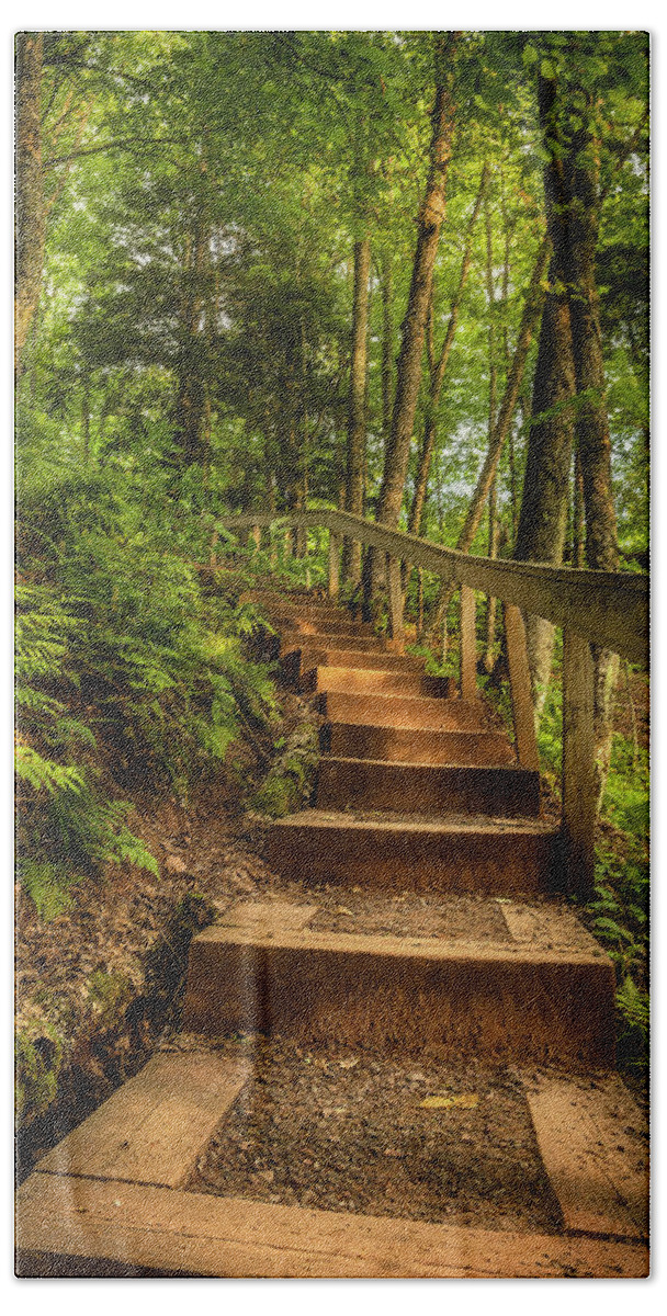 Forest Bath Towel featuring the photograph Woodland Staircase by Nate Brack