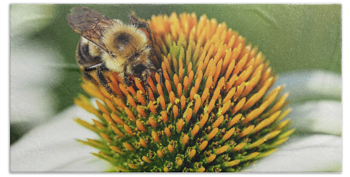 Bee Hand Towel featuring the photograph Working Bee III by Scott Olsen