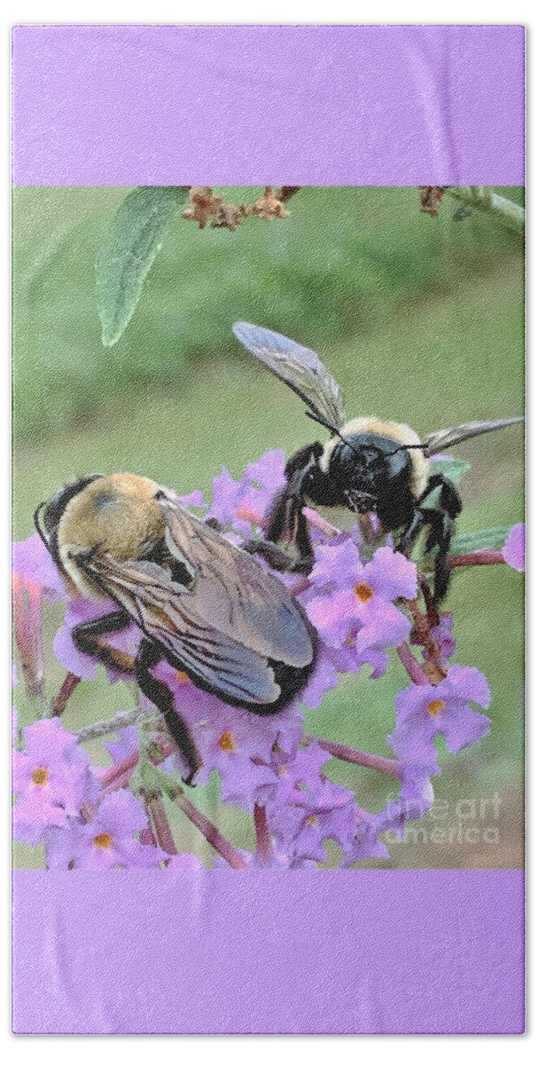 Bumble Bee Bath Towel featuring the photograph Working Bees by Merle Grenz