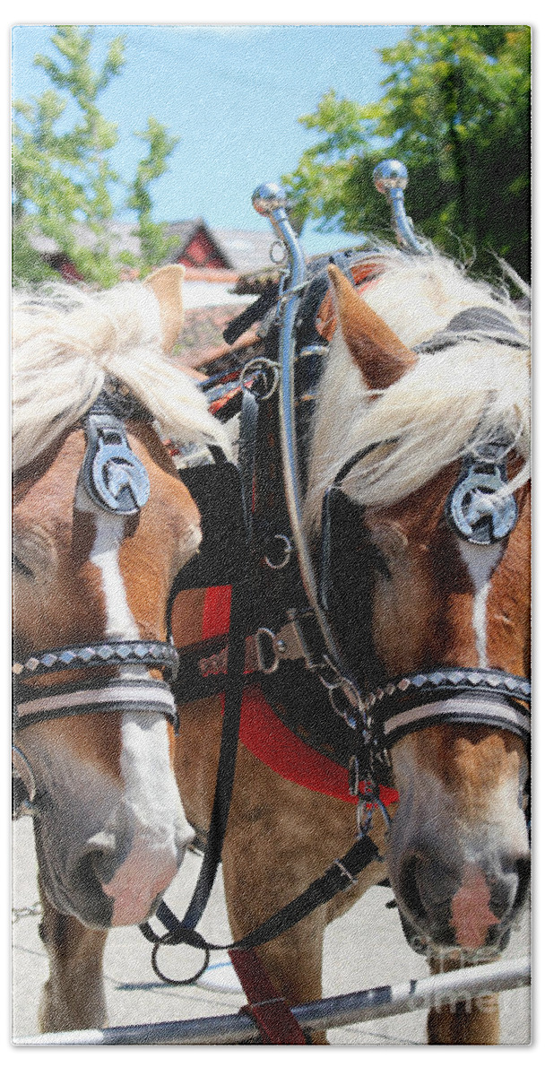 Horses Bath Towel featuring the photograph Working Horses at Solvang California by Colleen Cornelius