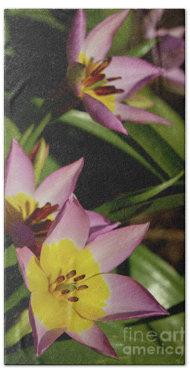 Flower Hand Towel featuring the photograph Yellow and Pink by D Lee
