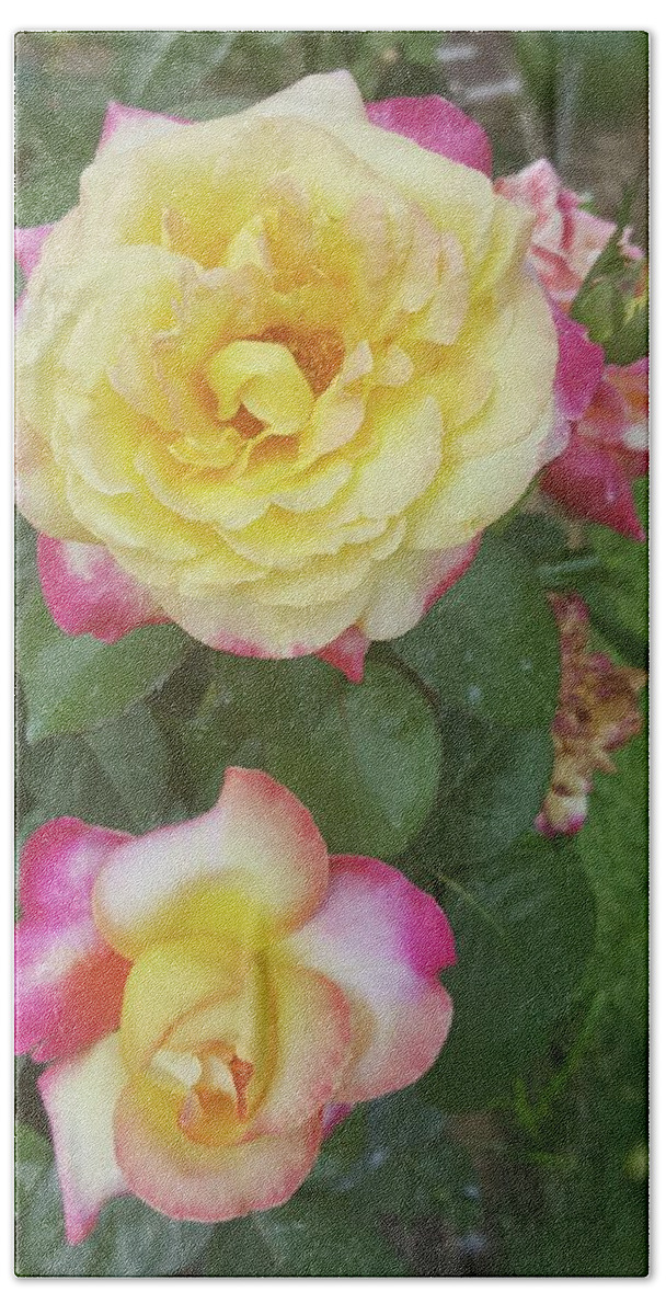 Flowers Bath Towel featuring the photograph Yellow and Pink Rose by Pour Your heART Out Artworks