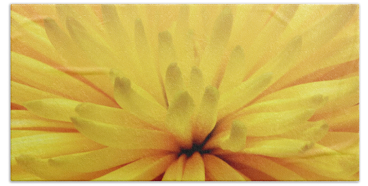 Flower Hand Towel featuring the photograph Yellow Chrysanthemum Flower Macro by Mikhail Kokhanchikov
