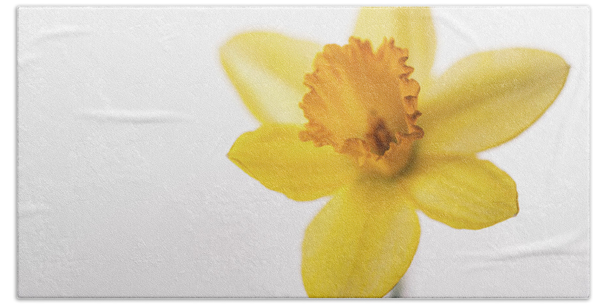 Daffodil Hand Towel featuring the photograph Yellow Daffodil by Ada Weyland