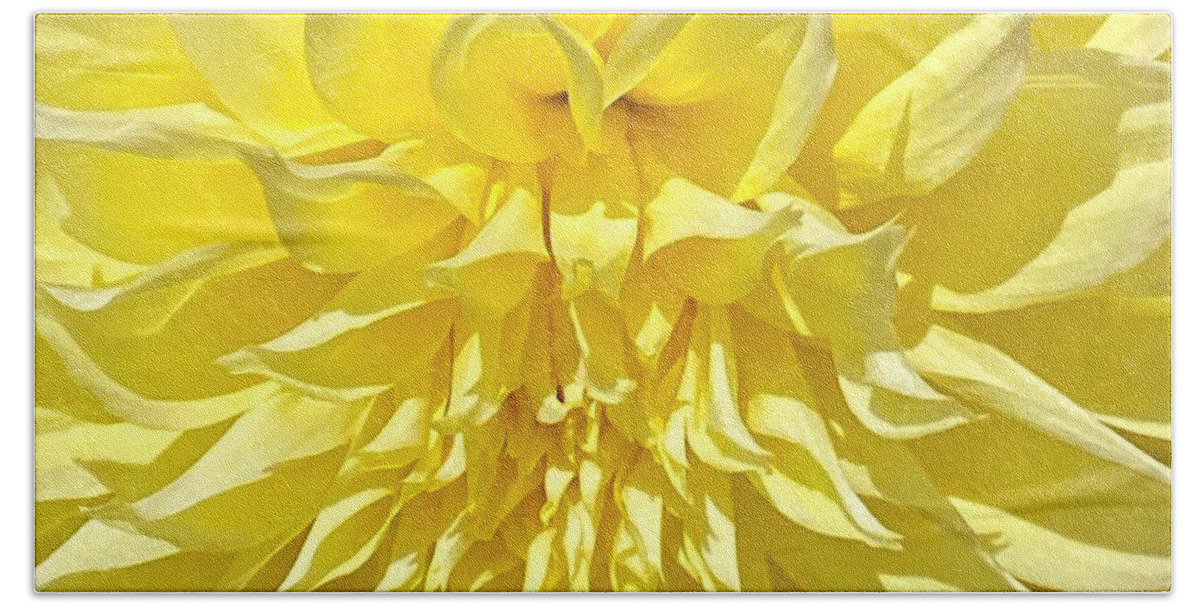 Macro Hand Towel featuring the photograph Yellow Dahlia by Jerry Abbott