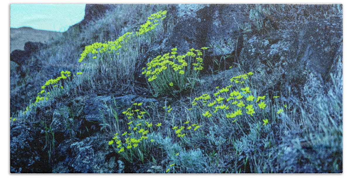 Flowers Bath Towel featuring the photograph Yellow flowers hillside by Jeff Swan
