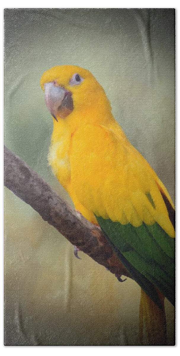 Bird Bath Towel featuring the mixed media Yellow Green Parrot Bird 85 by Lucie Dumas