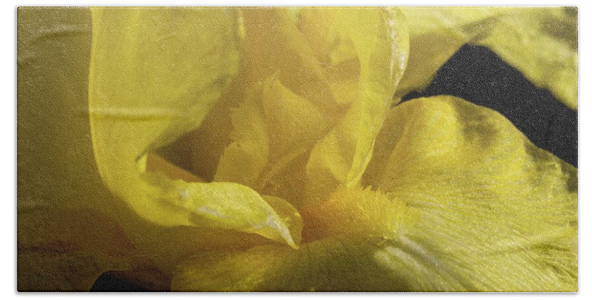 Iris Hand Towel featuring the photograph Yellow Iris by Liza Eckardt