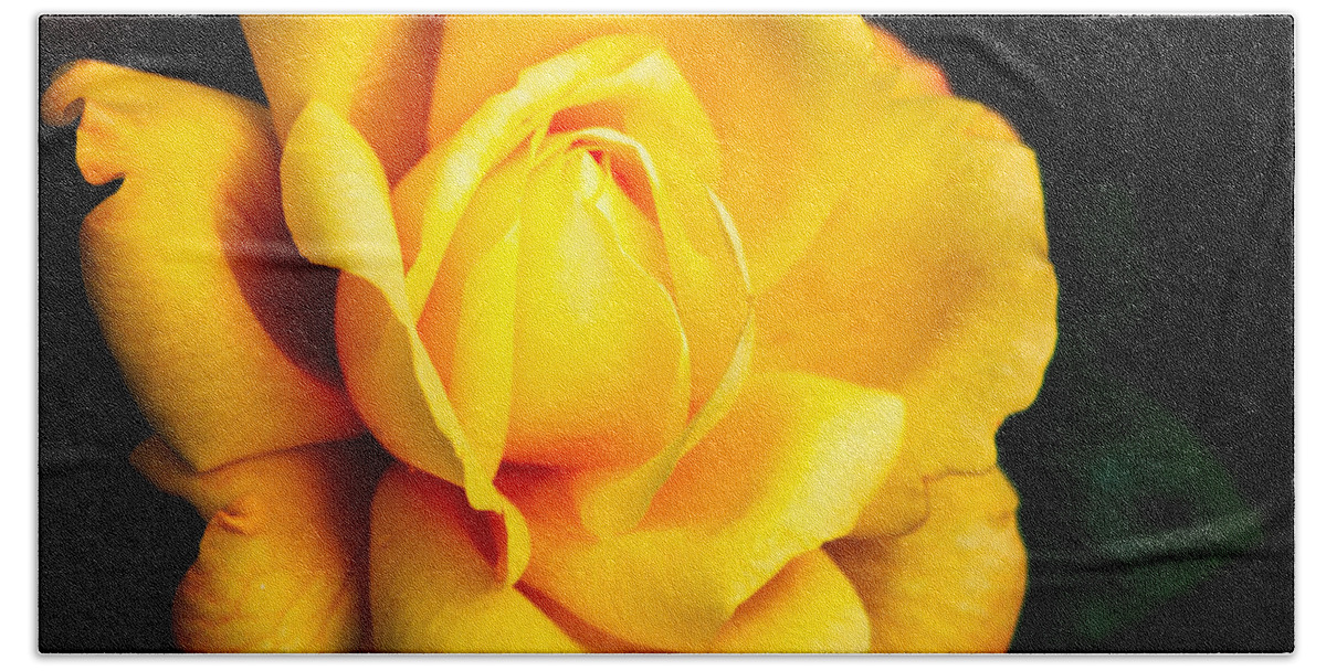 Rose Bath Towel featuring the photograph Yellow Irish Rose by Carrie Hannigan